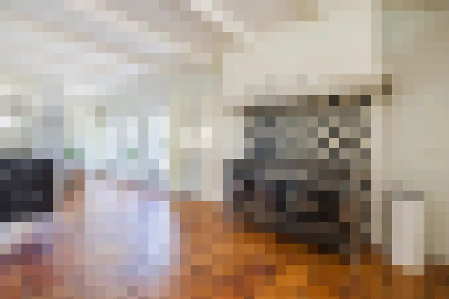 Meidoorn 7 Gieten thumbnail 21