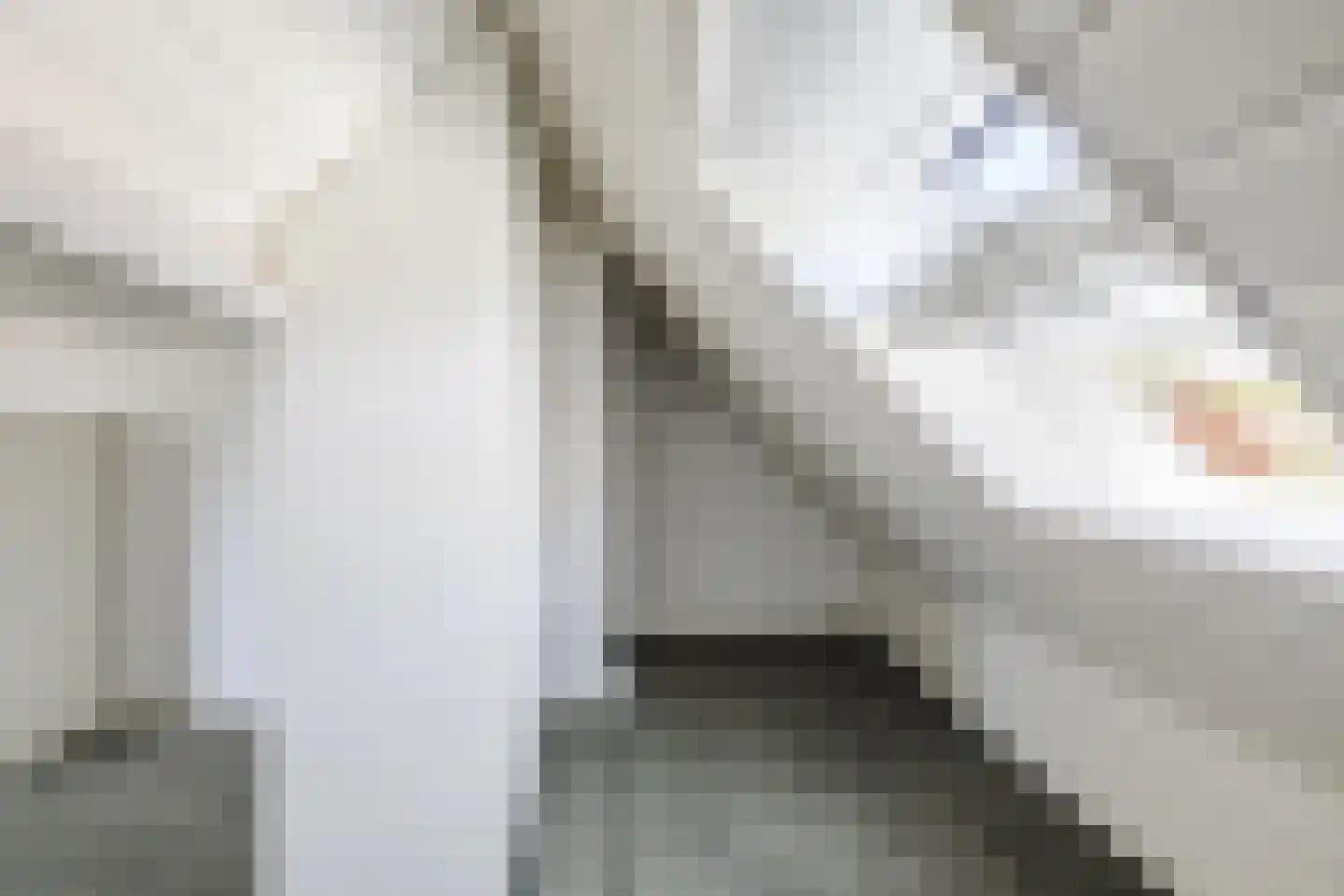 Meidoorn 7 Gieten thumbnail 34