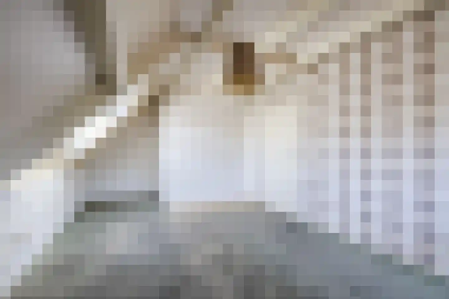 Meidoorn 7 Gieten thumbnail 38