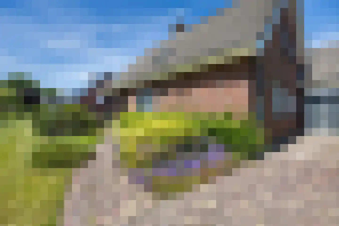Meidoorn 7 Gieten thumbnail 4