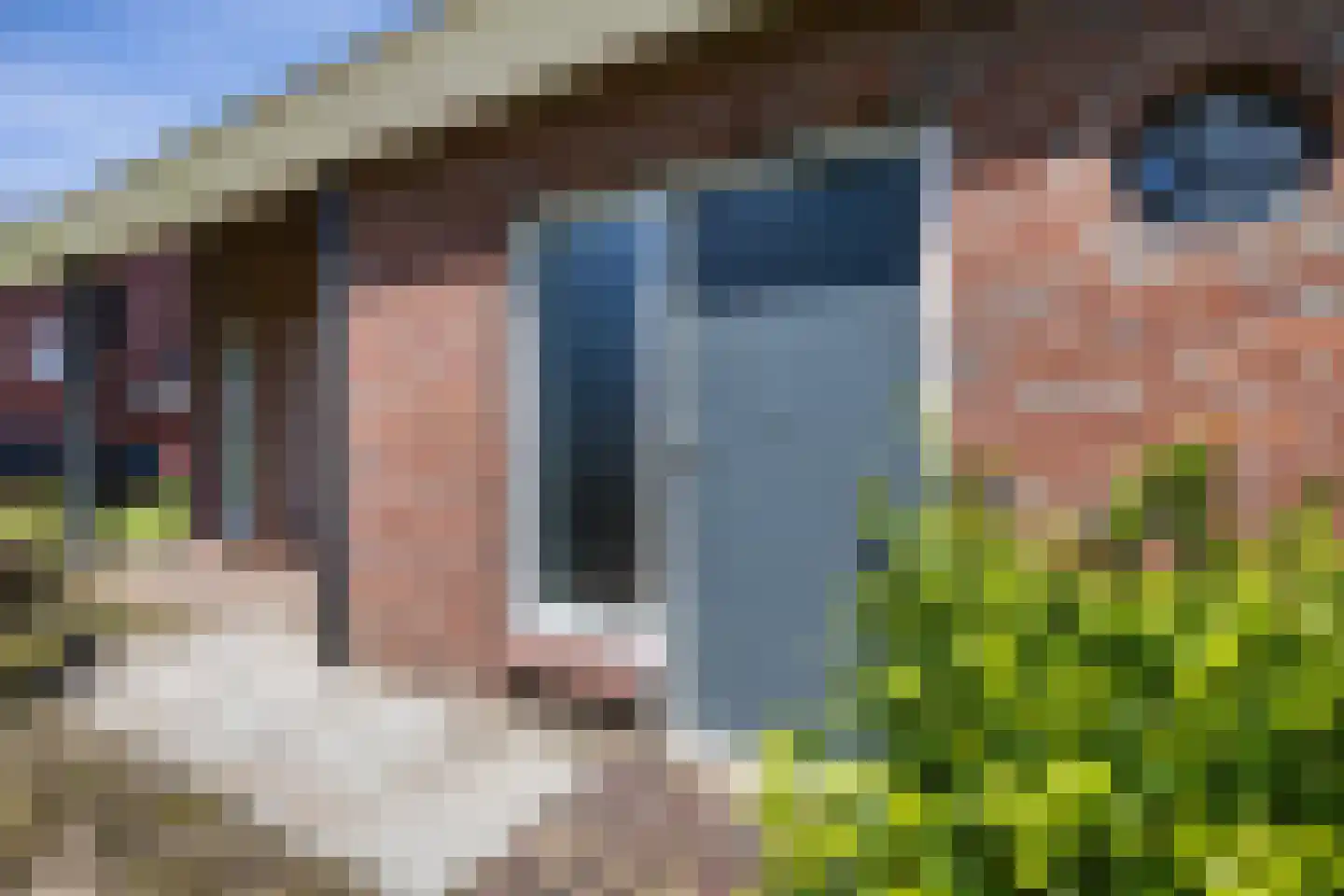 Meidoorn 7 Gieten thumbnail 5