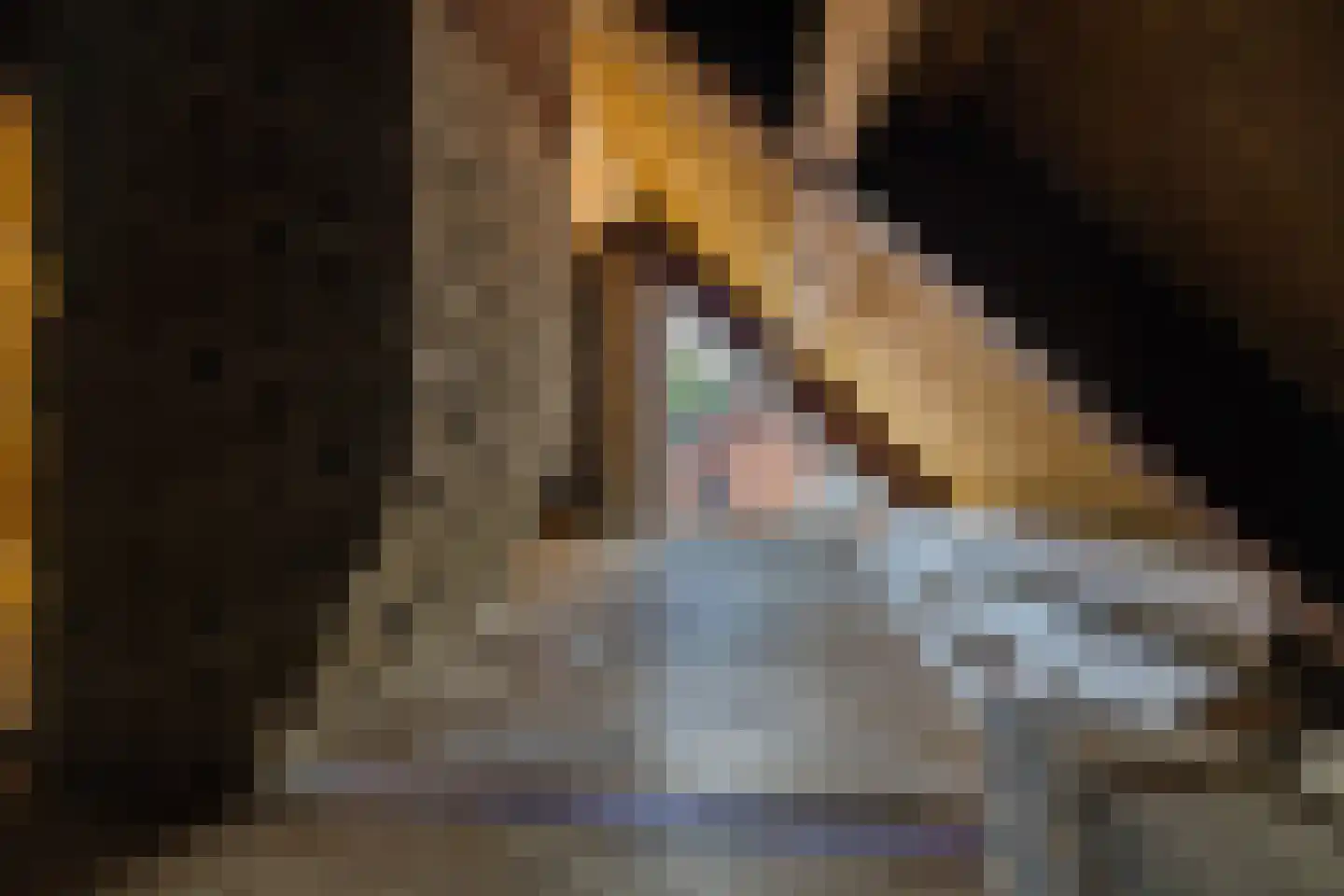 Meidoorn 7 Gieten thumbnail 54