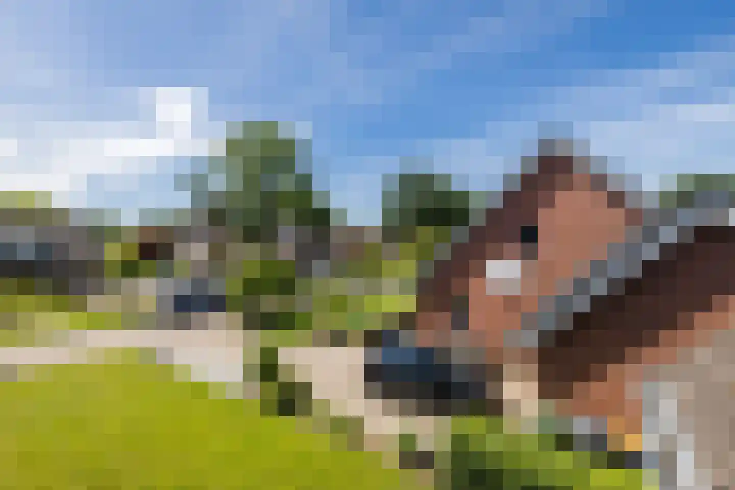 Meidoorn 7 Gieten thumbnail 56