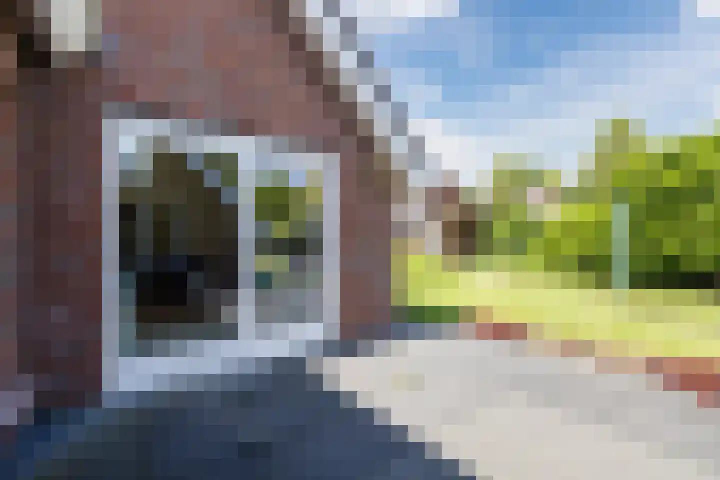 Meidoorn 7 Gieten thumbnail 57