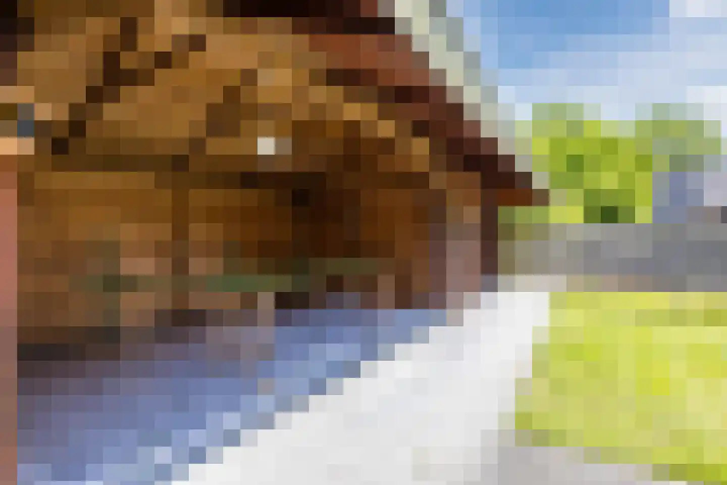 Meidoorn 7 Gieten thumbnail 61