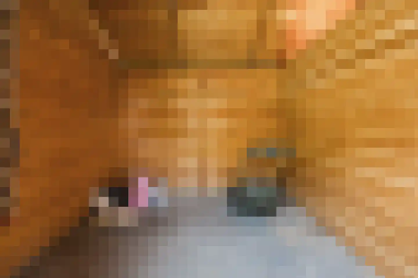Meidoorn 7 Gieten thumbnail 62