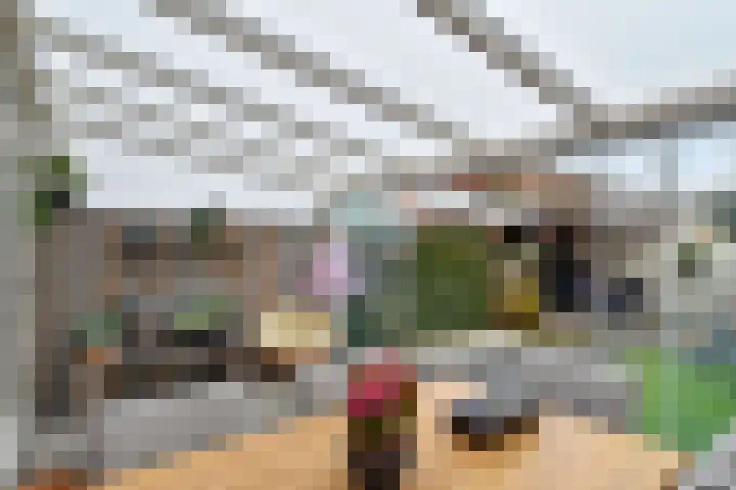 Meidoorn 7 Naaldwijk thumbnail 13