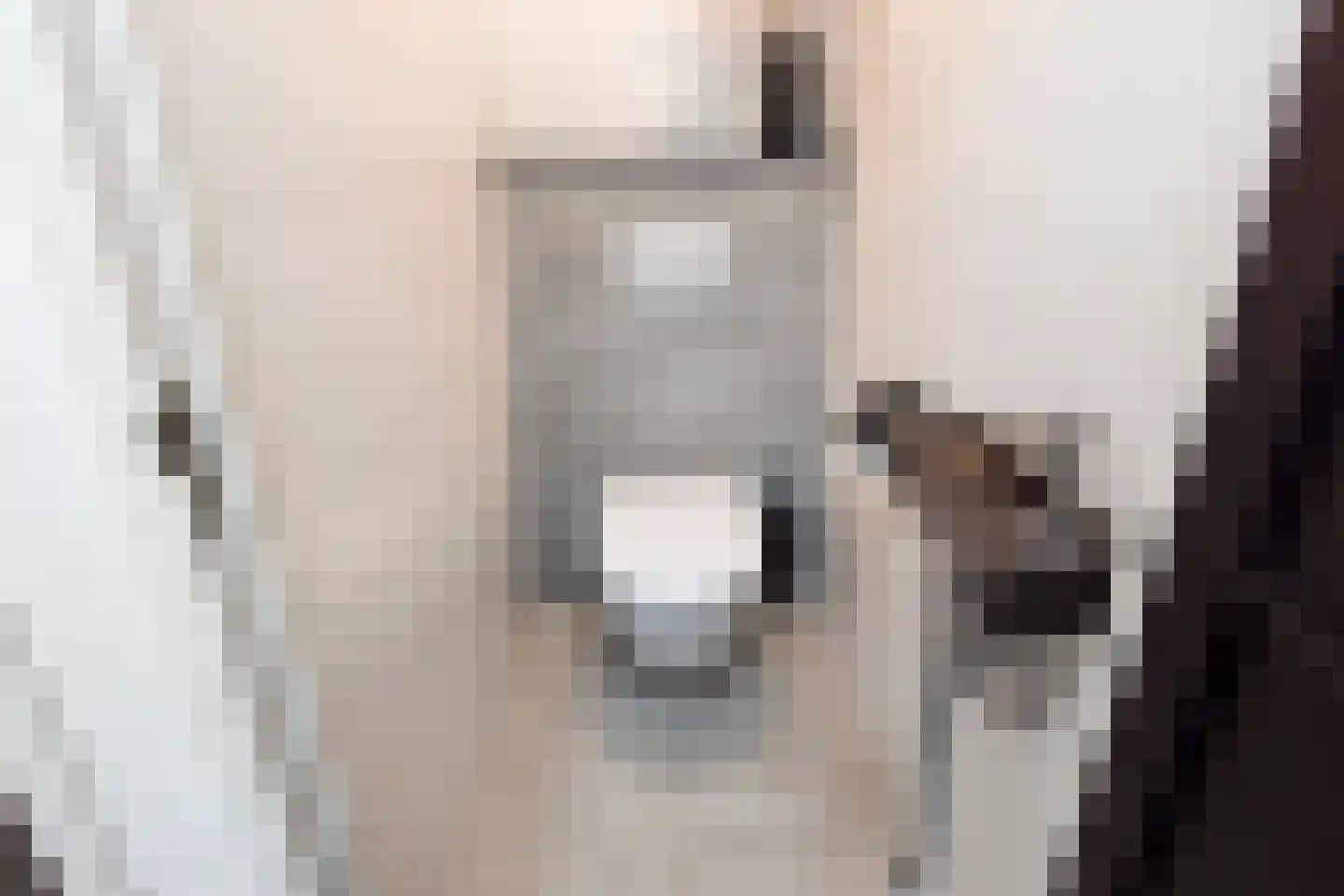 Meidoorn 7 Naaldwijk thumbnail 16