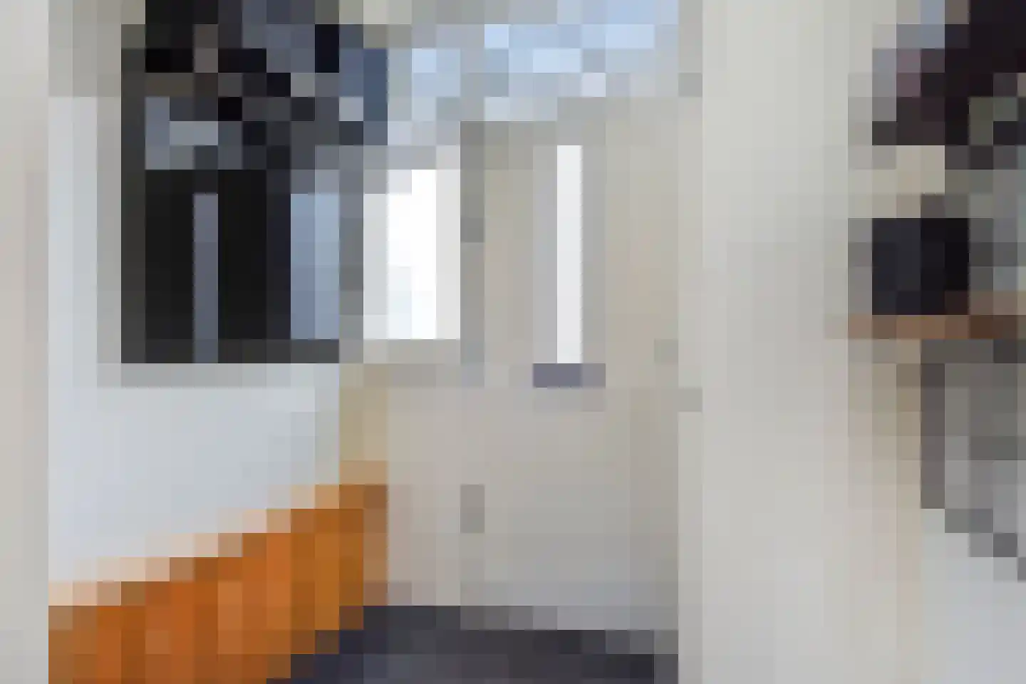 Meidoorn 7 Naaldwijk thumbnail 17
