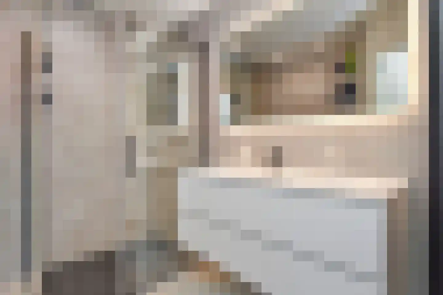 Meidoorn 7 Naaldwijk thumbnail 25
