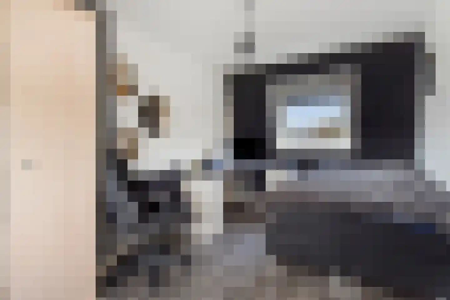 Meidoorn 7 Naaldwijk thumbnail 30