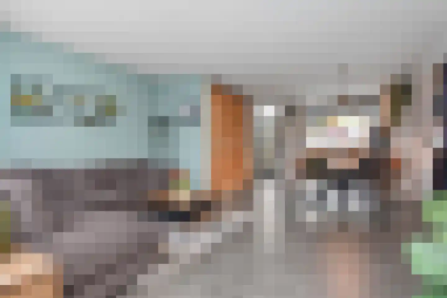 Meidoorn 7 Naaldwijk thumbnail 8