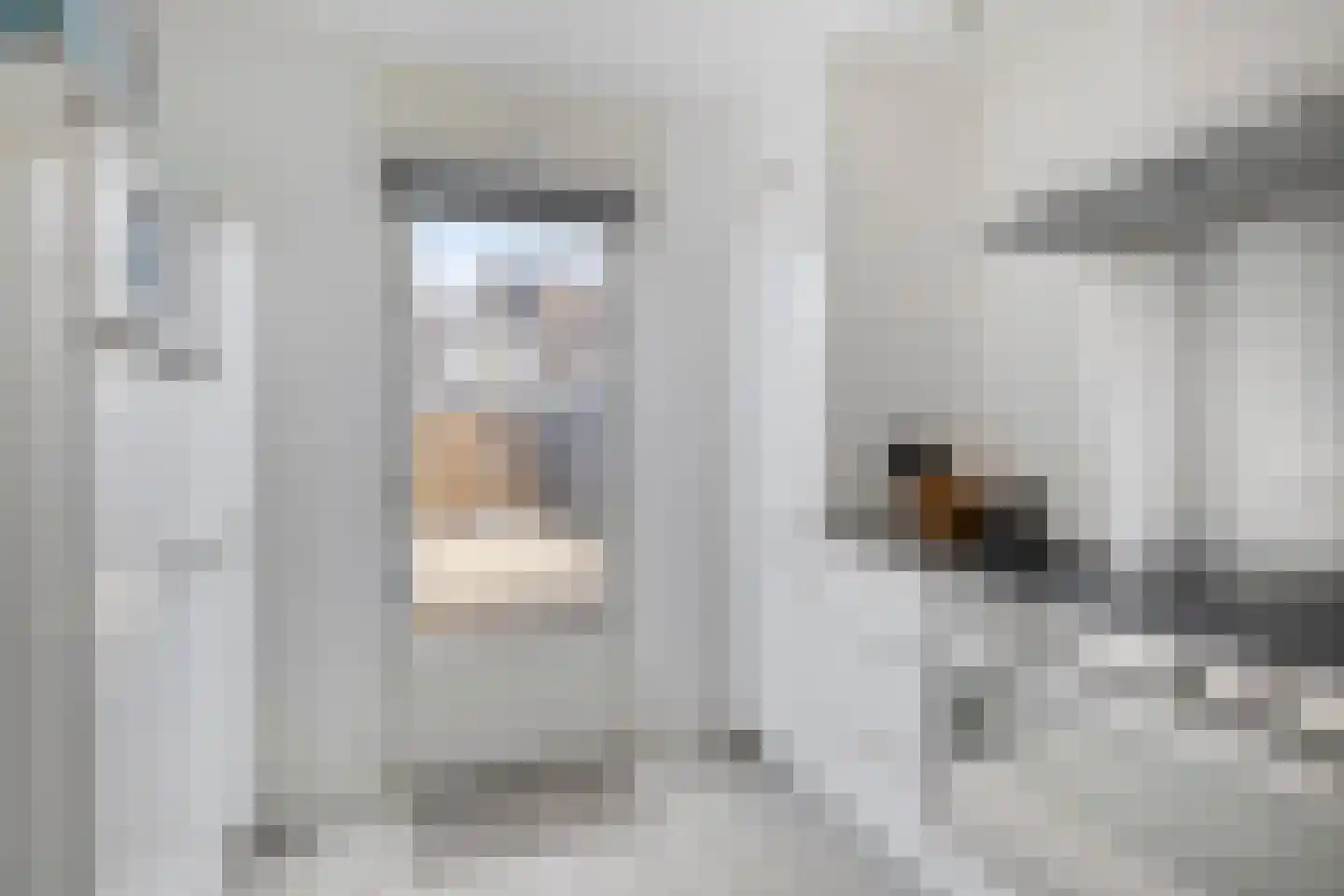 Meidoorn 8 Prinsenbeek thumbnail 12