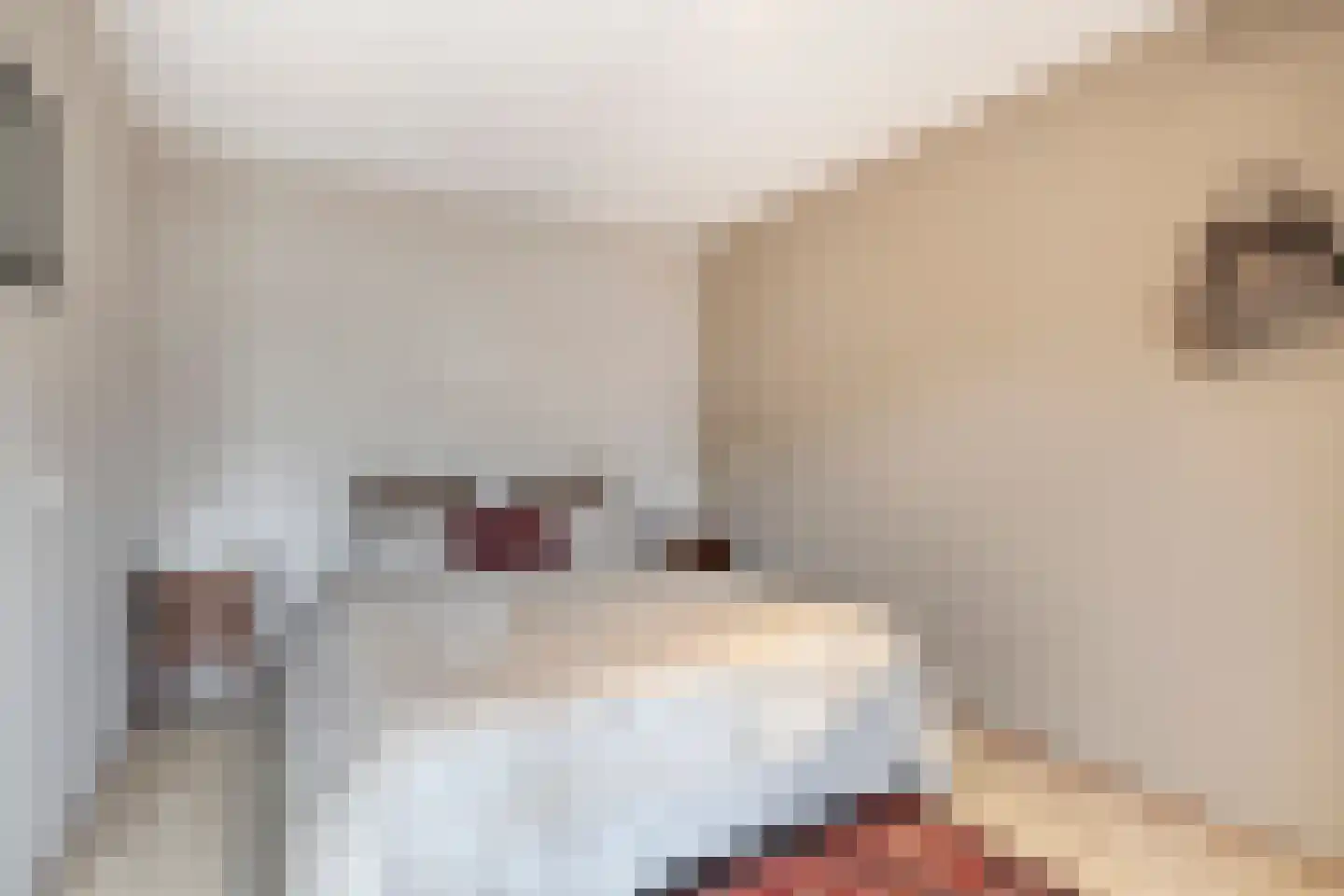 Meidoorn 8 Prinsenbeek thumbnail 13