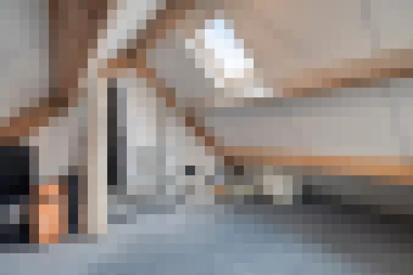 Meidoorn 8 Prinsenbeek thumbnail 23