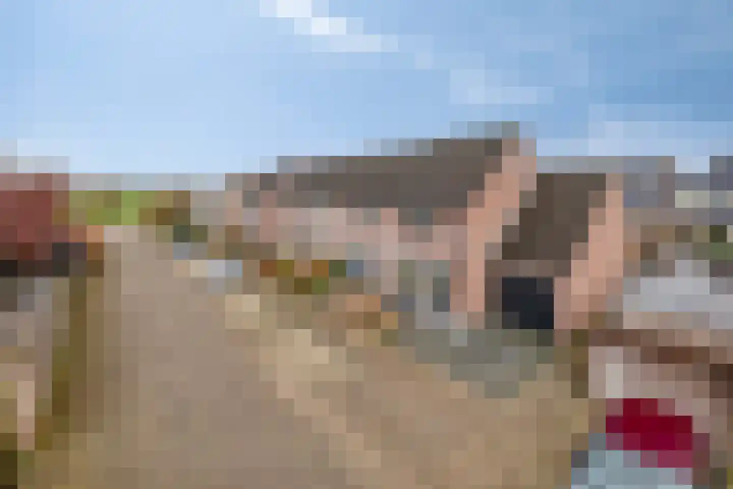 Meidoorn 8 Prinsenbeek thumbnail 29
