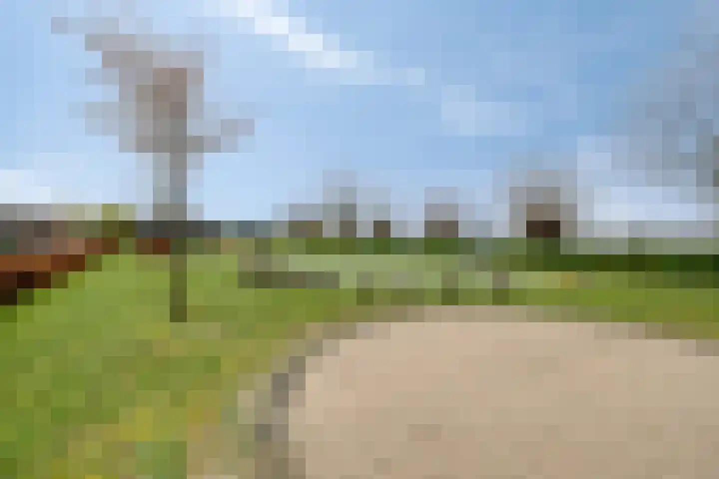 Meidoorn 8 Prinsenbeek thumbnail 30