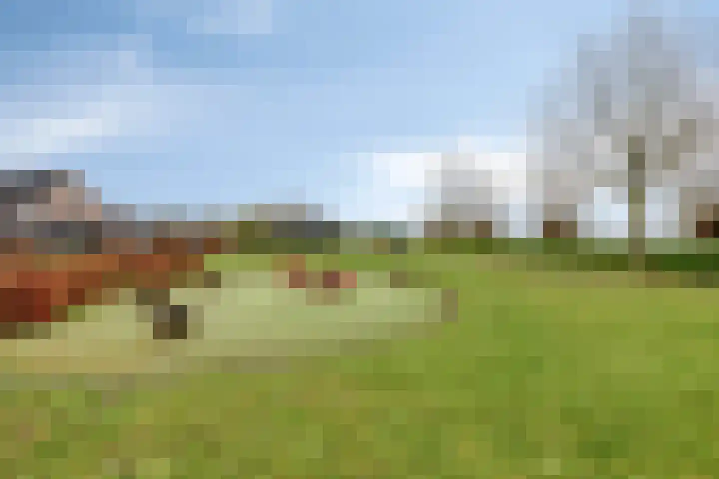 Meidoorn 8 Prinsenbeek thumbnail 31