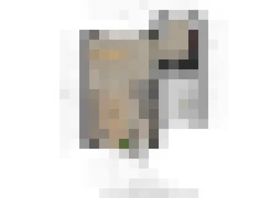 Meidoorn 8 Prinsenbeek thumbnail 32