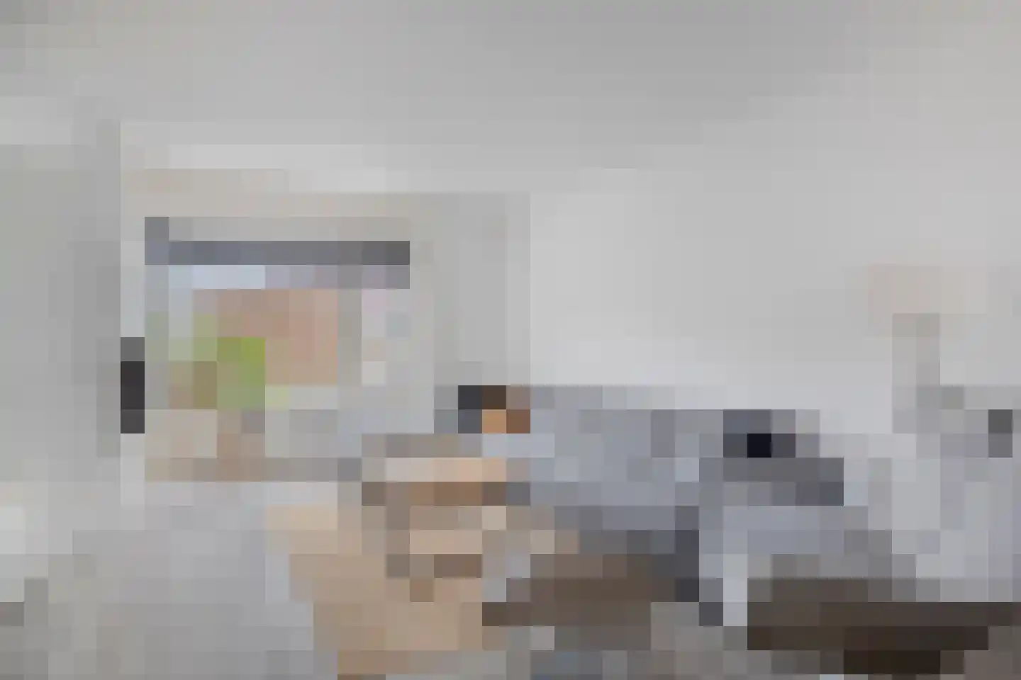 Meidoorn 8 Prinsenbeek thumbnail 6