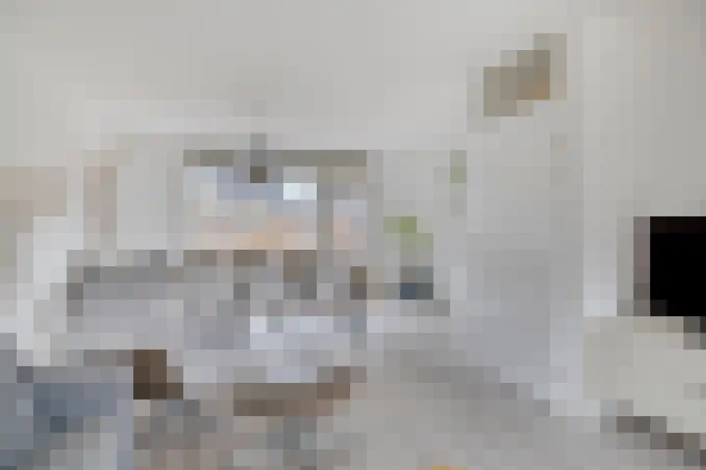Meidoorn 8 Prinsenbeek thumbnail 7