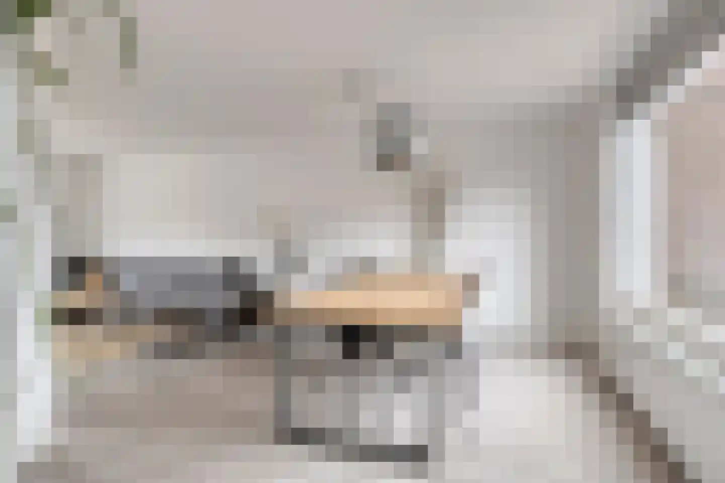 Meidoorn 8 Prinsenbeek thumbnail 8