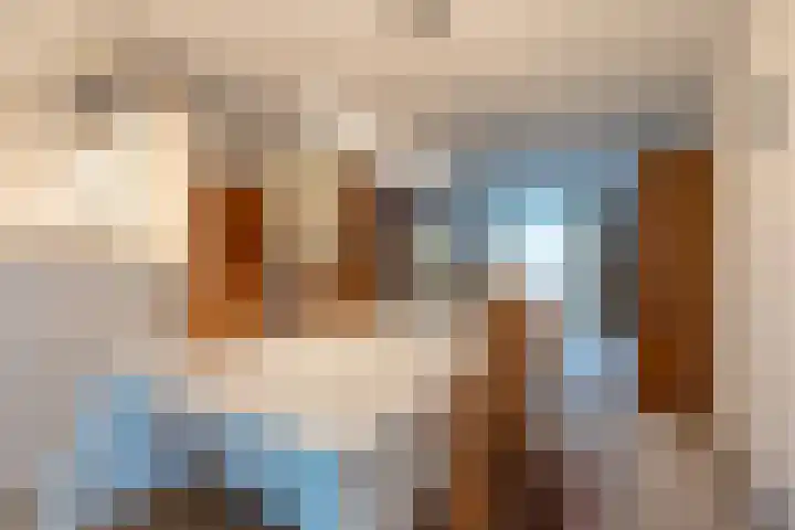 Meidoorn 85 Maastricht thumbnail 11