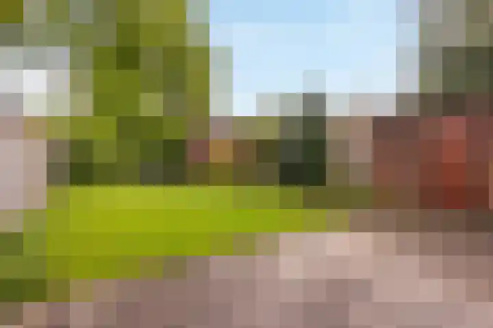 Meidoorn 85 Maastricht thumbnail 14