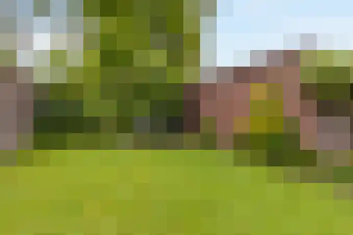 Meidoorn 85 Maastricht thumbnail 16