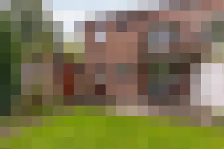 Meidoorn 85 Maastricht thumbnail 18