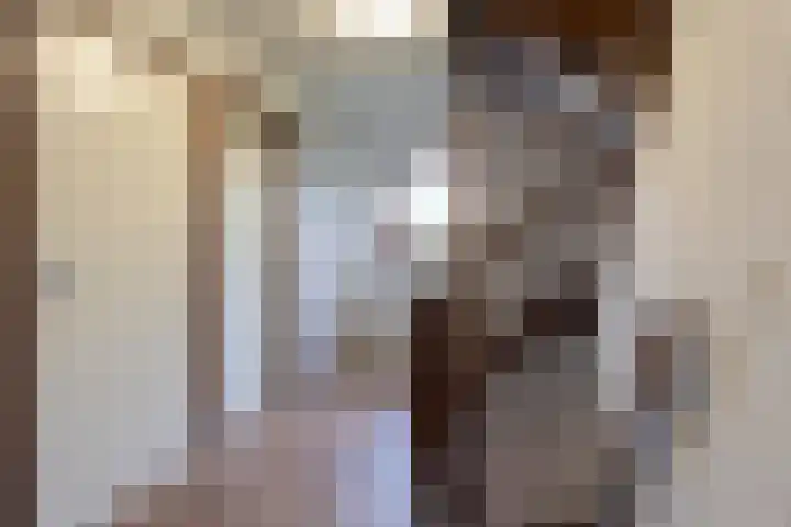 Meidoorn 85 Maastricht thumbnail 19