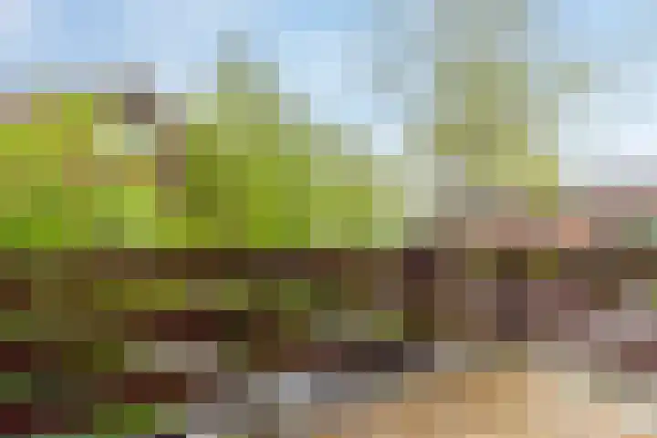 Meidoorn 85 Maastricht thumbnail 23