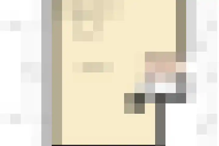 Meidoorn 85 Maastricht thumbnail 34
