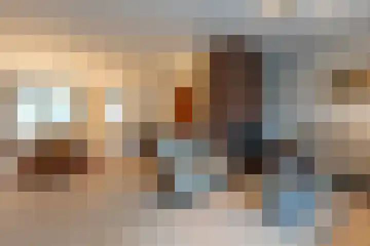 Meidoorn 85 Maastricht thumbnail 8