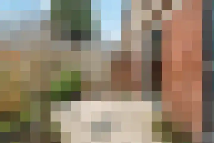 Meidoorn 9 Barendrecht thumbnail 30