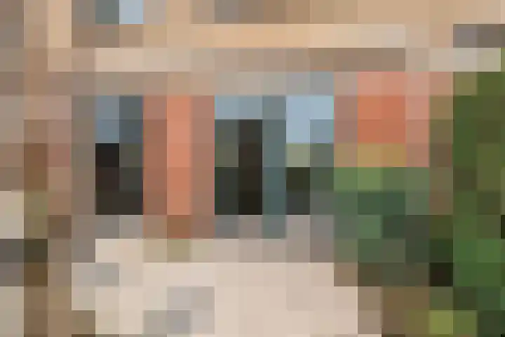 Meidoorn 9 Barendrecht thumbnail 31