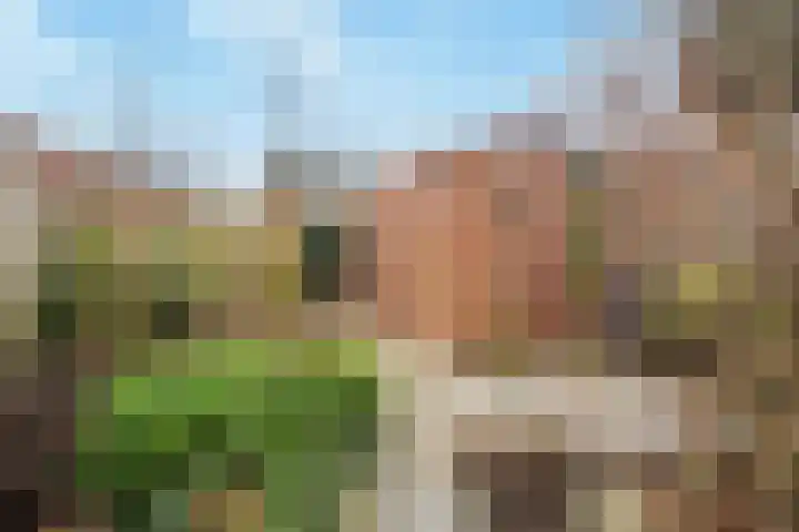 Meidoorn 9 Barendrecht thumbnail 32