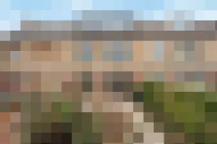 Meidoorn 9 Barendrecht thumbnail 34