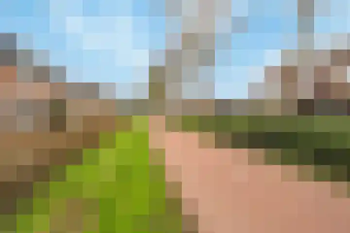 Meidoorn 9 Barendrecht thumbnail 35