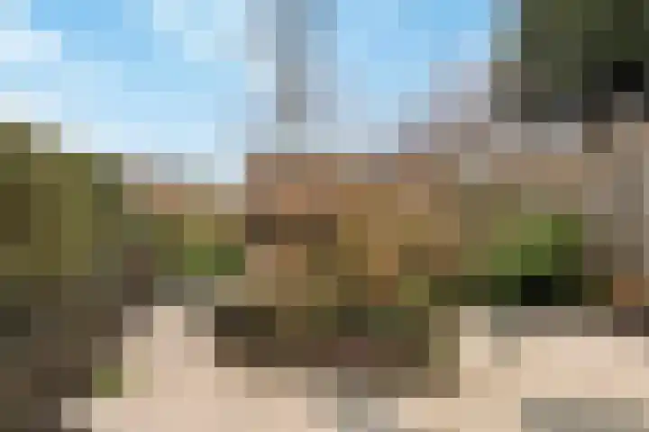 Meidoorn 9 Barendrecht thumbnail 5