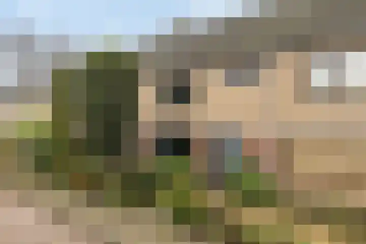 Meidoorn 9 Barendrecht thumbnail 6