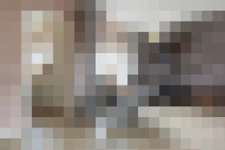 Meidoorn 9 Emmen thumbnail 10