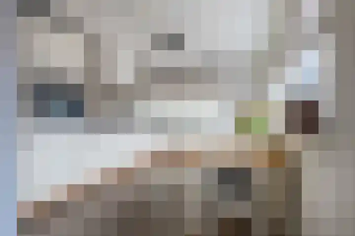 Meidoorn 9 Emmen thumbnail 11