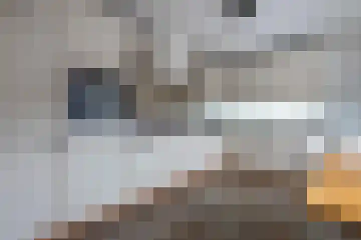 Meidoorn 9 Emmen thumbnail 12