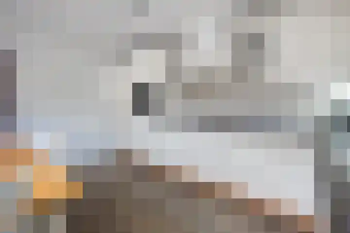 Meidoorn 9 Emmen thumbnail 13