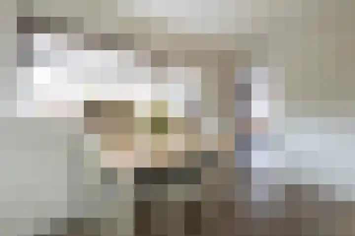 Meidoorn 9 Emmen thumbnail 14