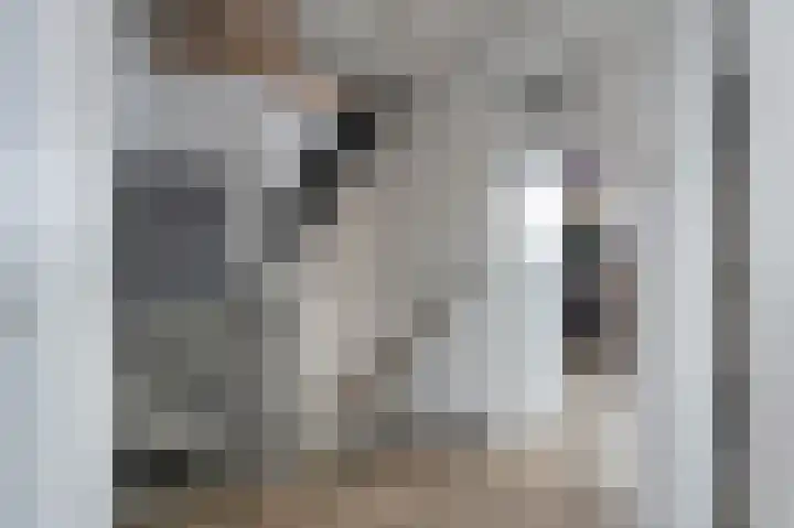 Meidoorn 9 Emmen thumbnail 17