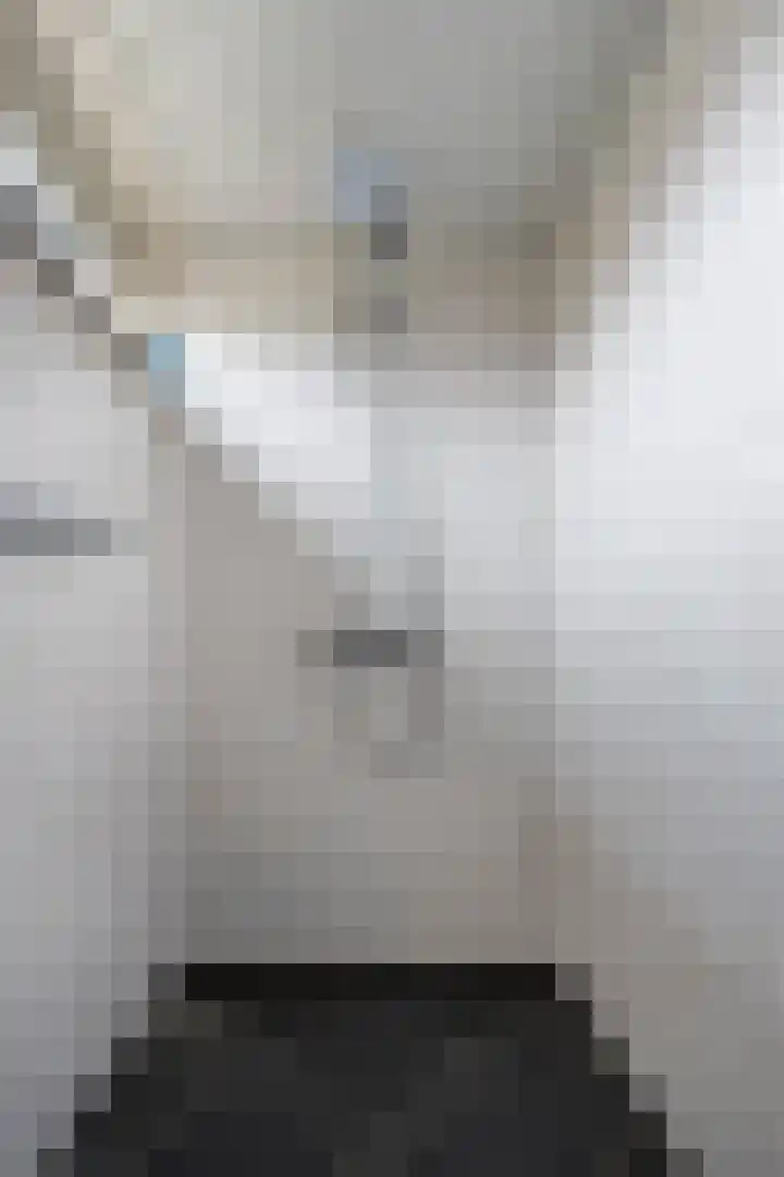 Meidoorn 9 Emmen thumbnail 21