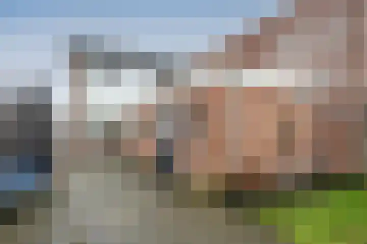 Meidoorn 9 Emmen thumbnail 26