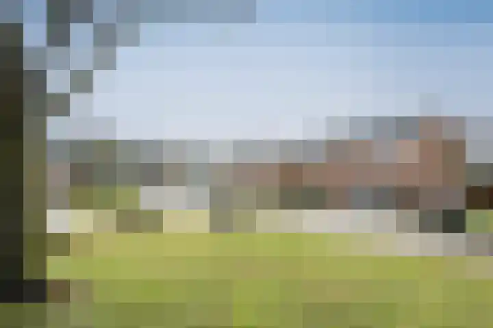 Meidoorn 9 Emmen thumbnail 30
